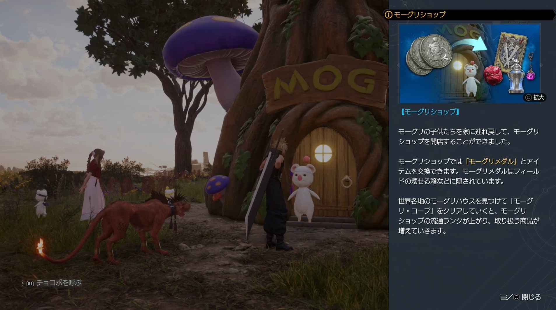 モーグリショップ