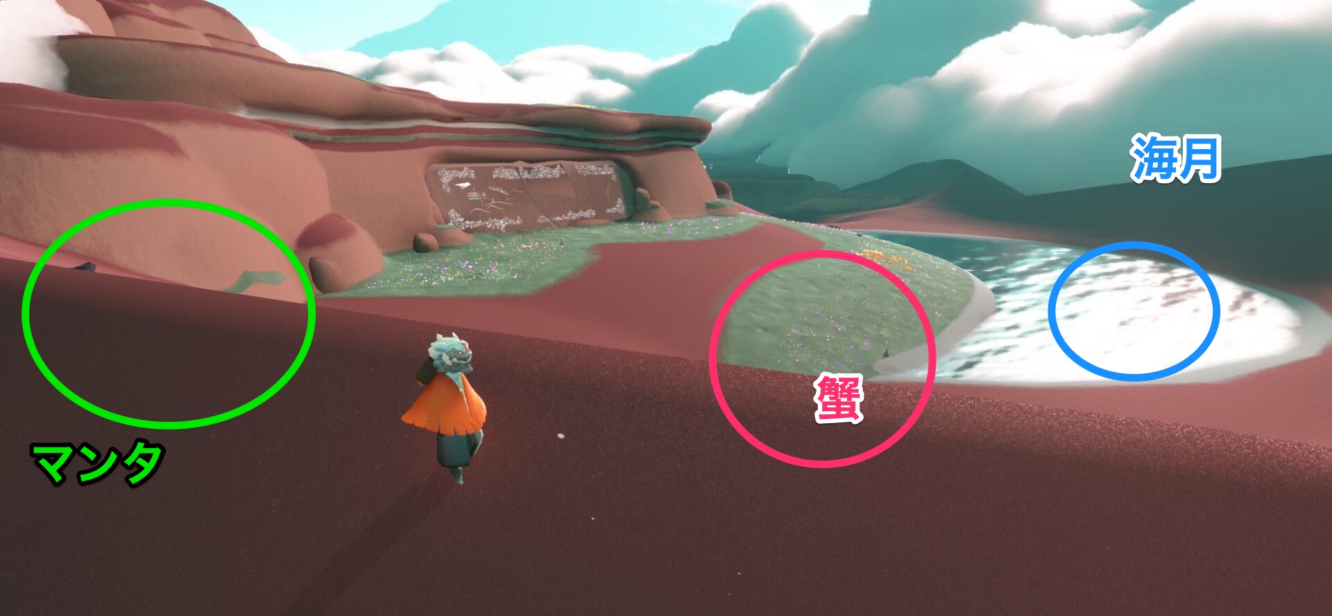 動物のいる場所