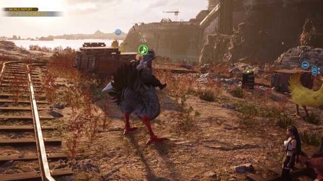 山チョコボを捕獲した画像