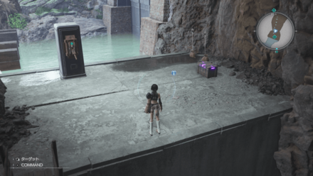 ツインヴァイパーの宝箱