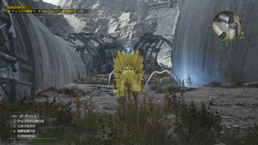 アクセサリビギナー