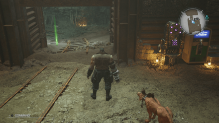 いかずちの画像