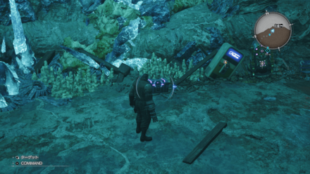 リベリオンカラーの画像