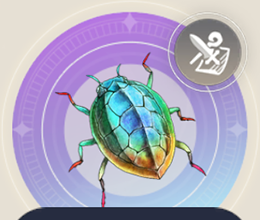 タートルバグの画像