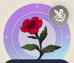 アカキシクサの画像