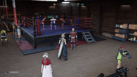 依頼人の見た目