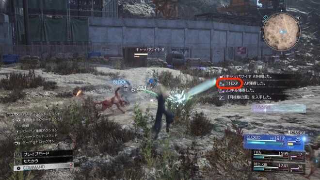 雑魚モンスターと戦って経験値を稼ぐ