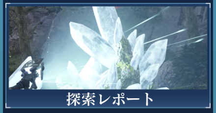 探索レポート