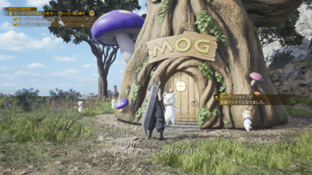 モーグリショップ