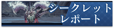 シークレットレポート
