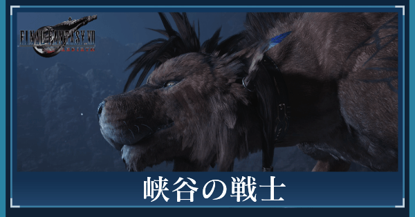 峡谷の戦士の攻略チャート