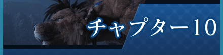 チャプター10