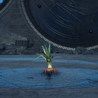 マンドラゴラ画像