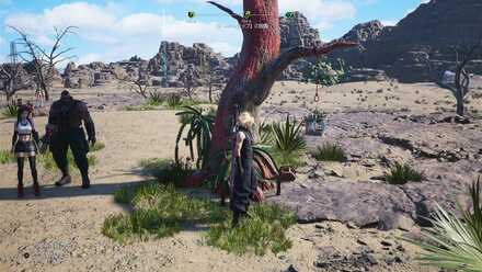 1つ目のトラップ