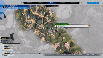 ヤツデの崖：ゴンガガエリア