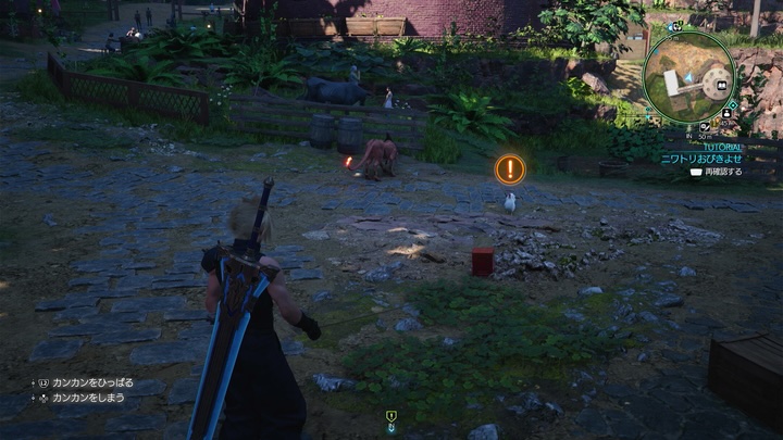 1匹目のニワトリ