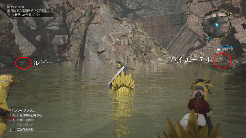 湿地帯のよどみのアイテム