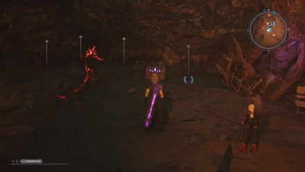 ワイザーロッドの宝箱