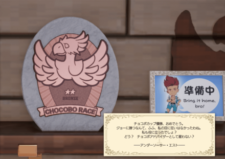 チョコボレーサー新人王