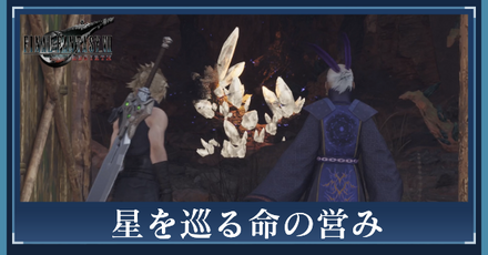 星を巡る命の営みの攻略