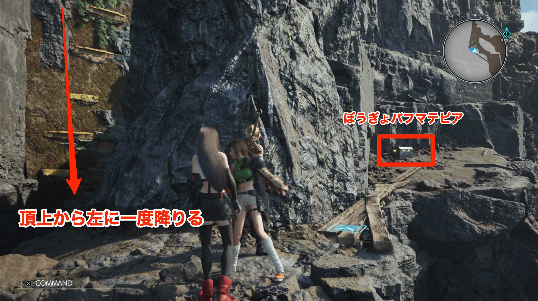 ぼうぎょバフマテピアのとりかた