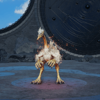 レブリコンプテラ画像