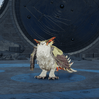 ゼムゼレット画像