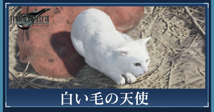 白い毛の天使の攻略