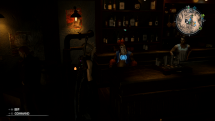 アウトサイダーのビーガ