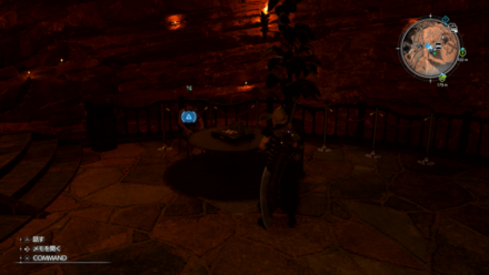 元傭兵のロビン