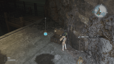 魔物の背骨の画像