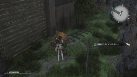 魔物の上皮の画像