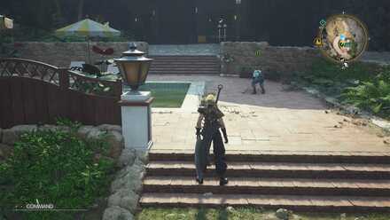 依頼人の見た目