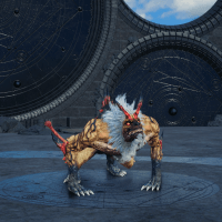 ステルシーステップ画像