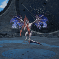 フラップビート画像