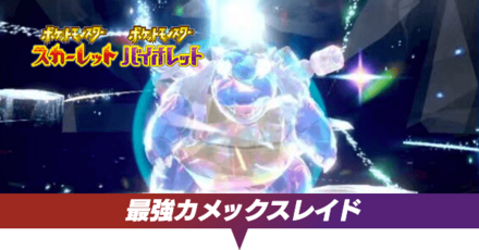 最強カメックスレイド