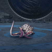 シャンカプラグ画像