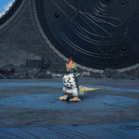 キキキアチョ画像