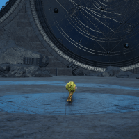 フラワープラング画像