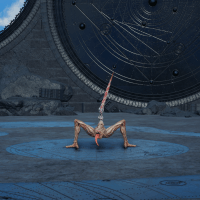 ババヴェラウミュ画像