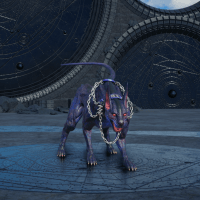 ダークネイション画像