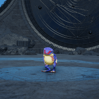 ポイズンフロッグ画像