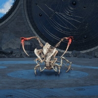 ゲルシュメルゼ画像