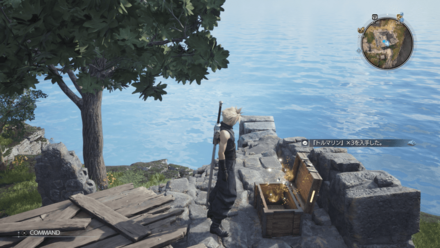 トルマリンの画像