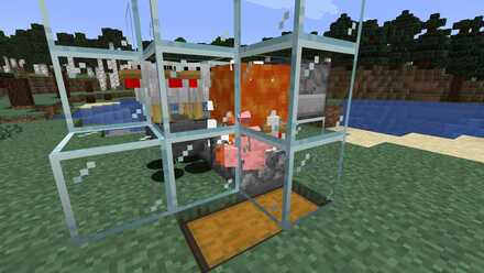 自動装置ニワトリ