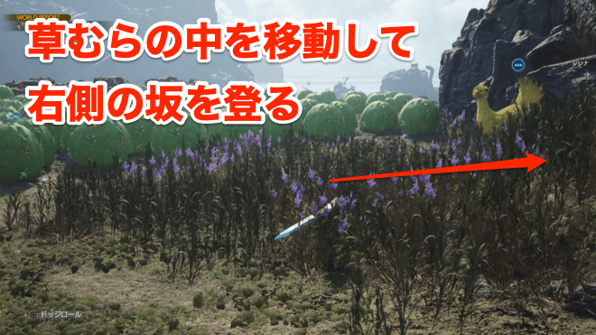 海チョコボ捕獲1草むらを移動している画像