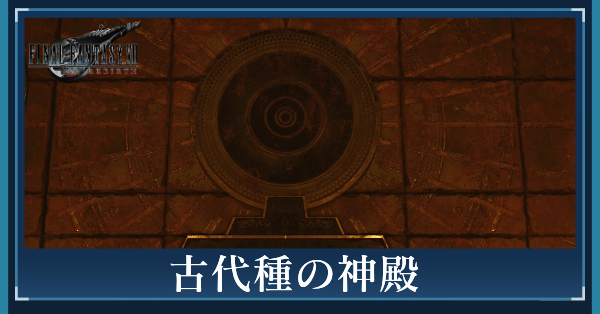 古代種の神殿の攻略チャート