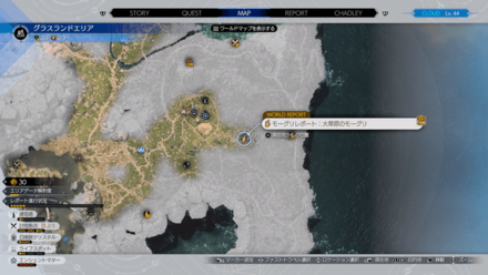 モーグリショップの場所：グラスランド