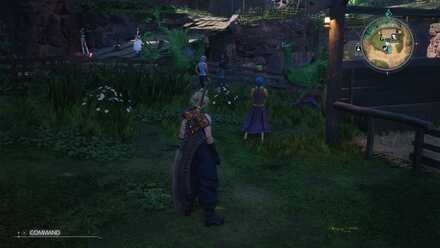 依頼人の見た目