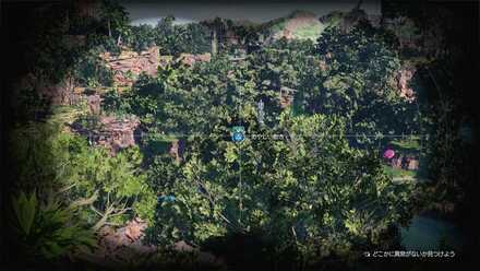 現地調査③ 望遠鏡